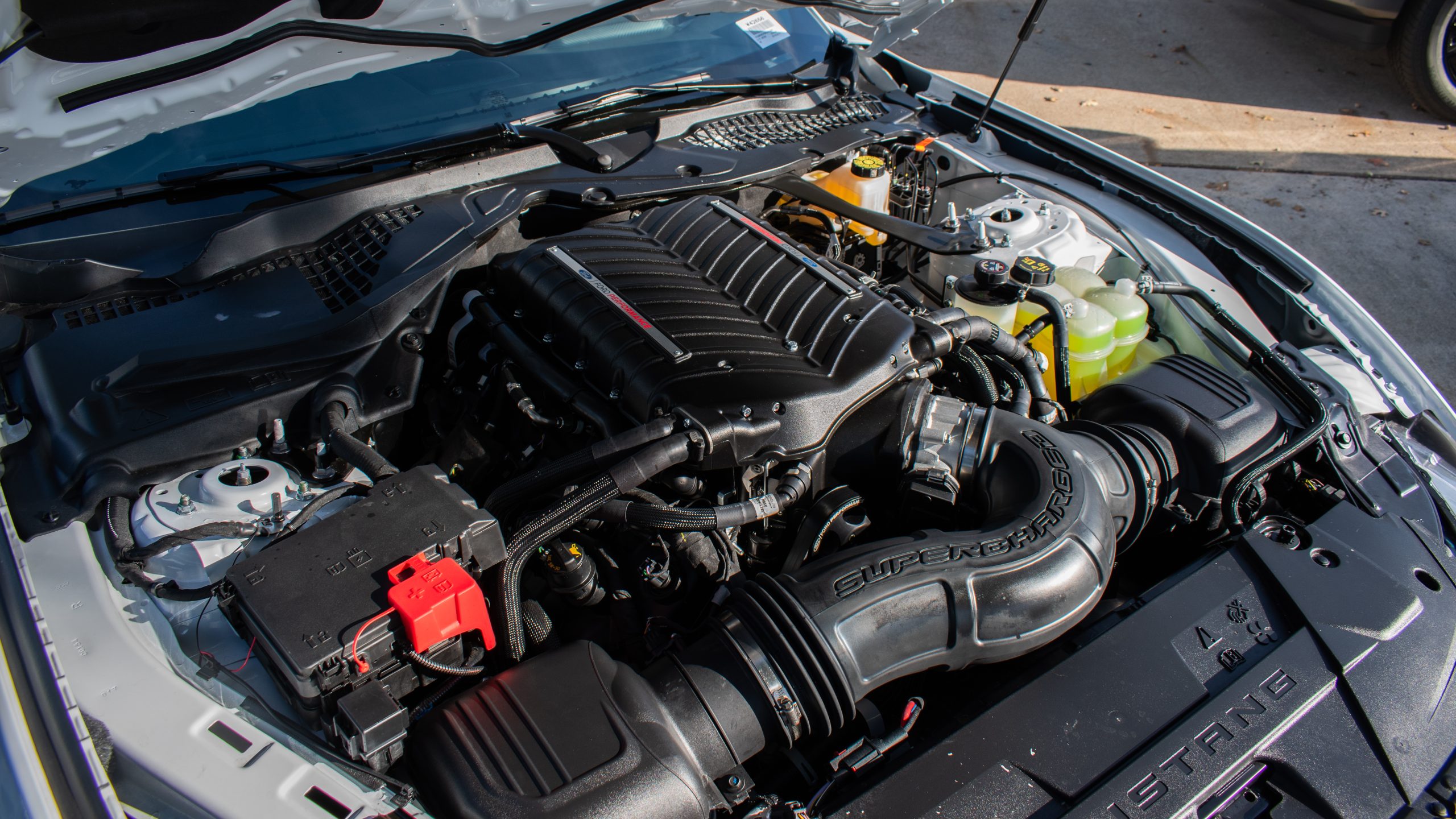2024 RTR SPEC 3 IN OXFORD WHITE