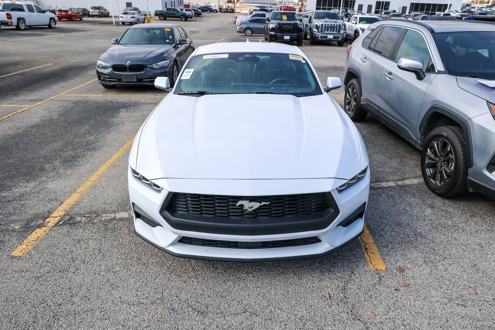 2024 Ford Mustang EcoBoost Premium