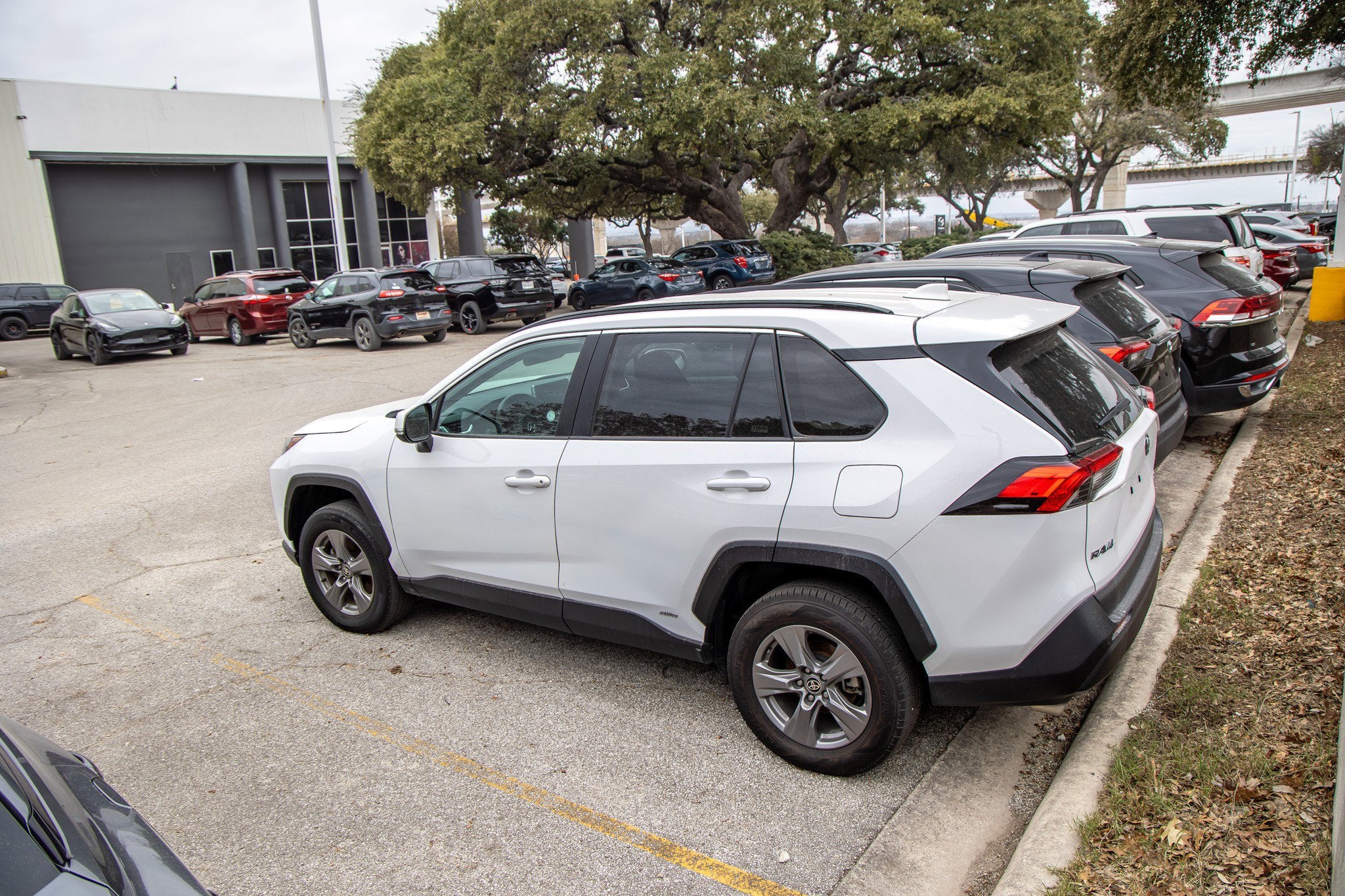 2024 Toyota RAV4 HYBRID Hybrid XLE