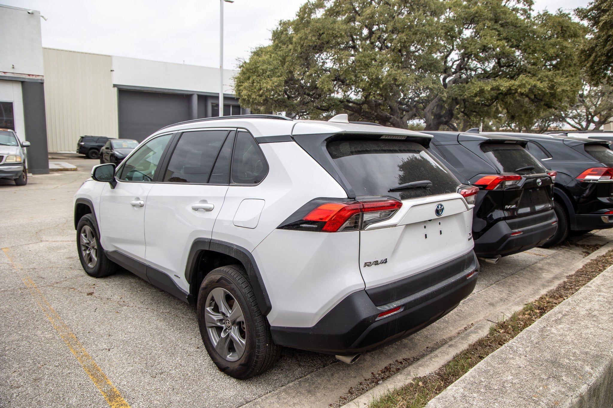 2024 Toyota RAV4 HYBRID Hybrid XLE