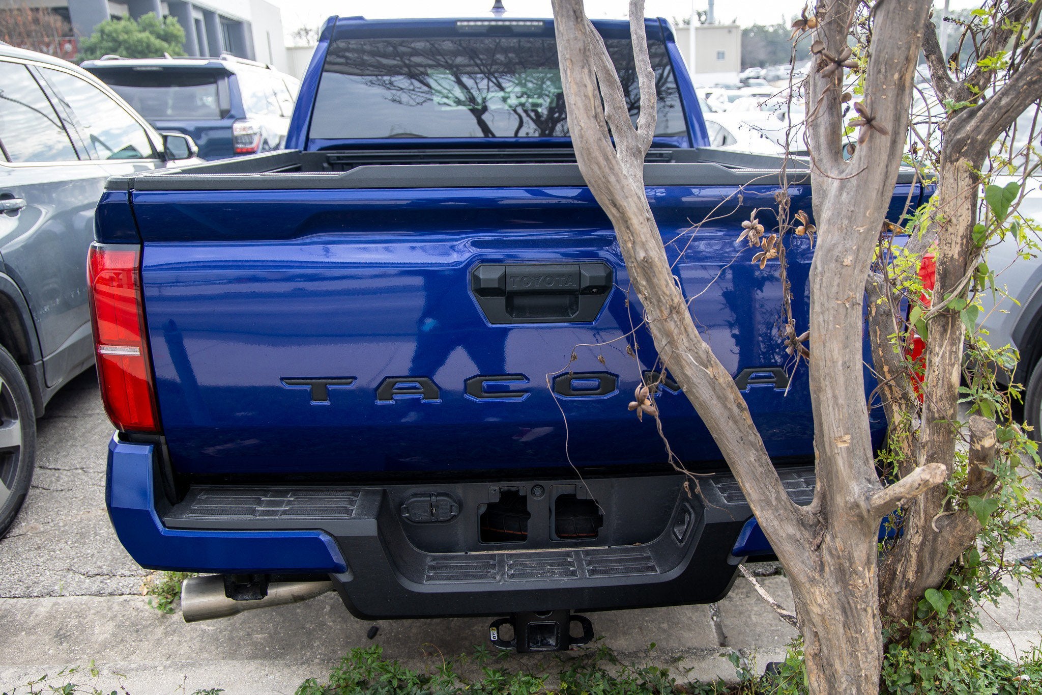 2025 Toyota TACOMA TRD SPORT TRD Sport