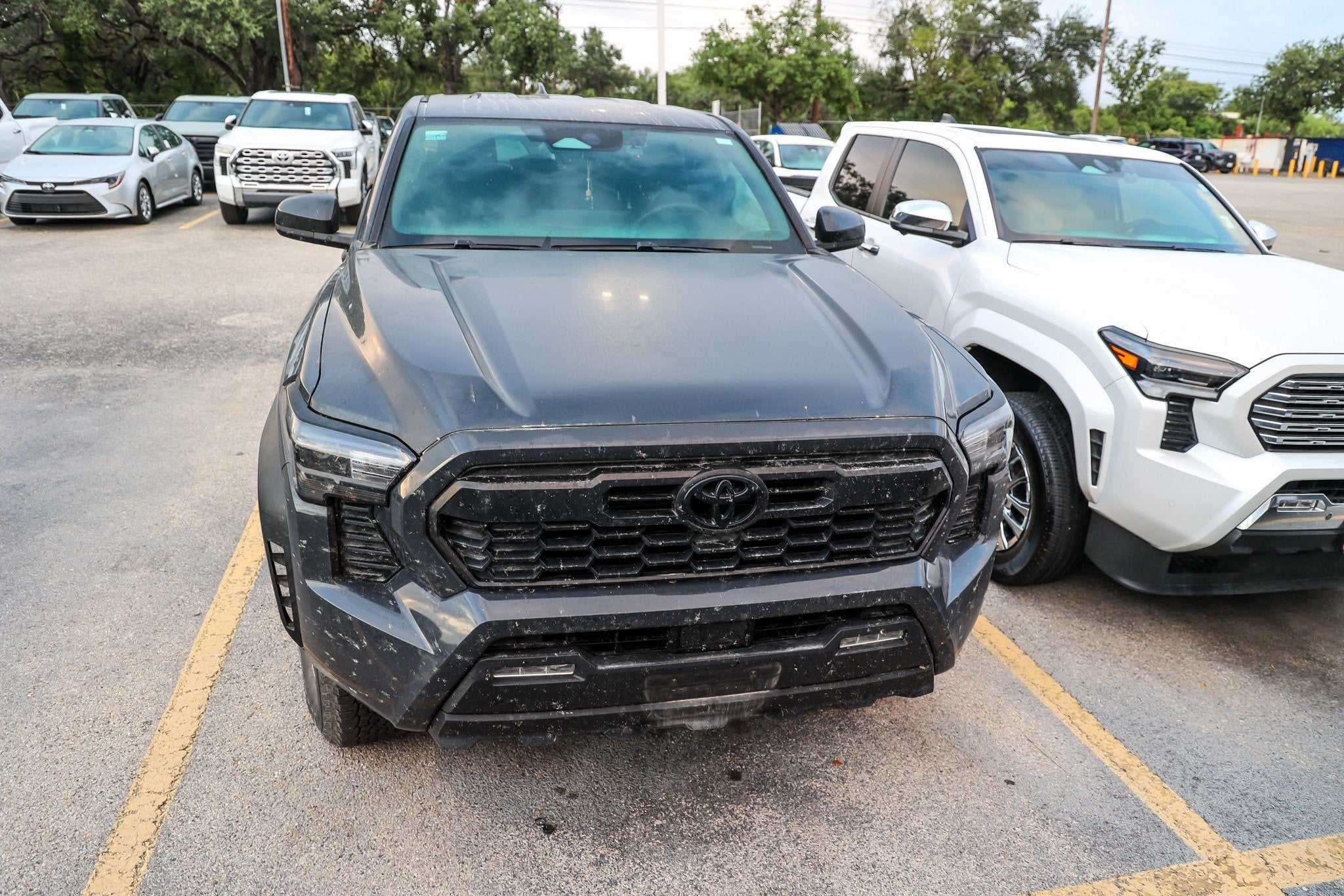 2024 Toyota Tacoma TRD Off Road