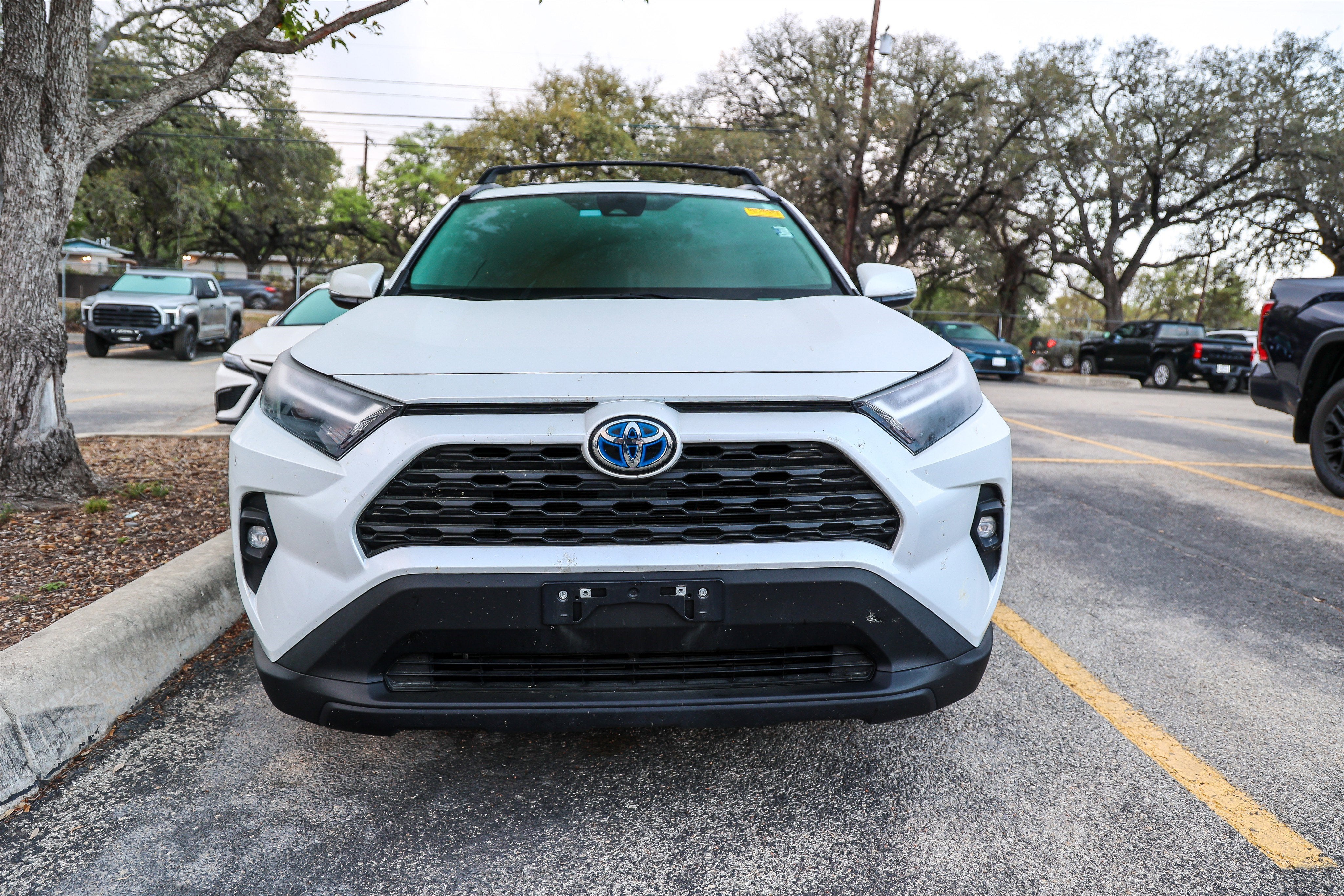 2024 Toyota RAV4 HYBRID Hybrid XLE Premium