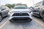 2024 Toyota RAV4 Hybrid Hybrid XLE Premium
