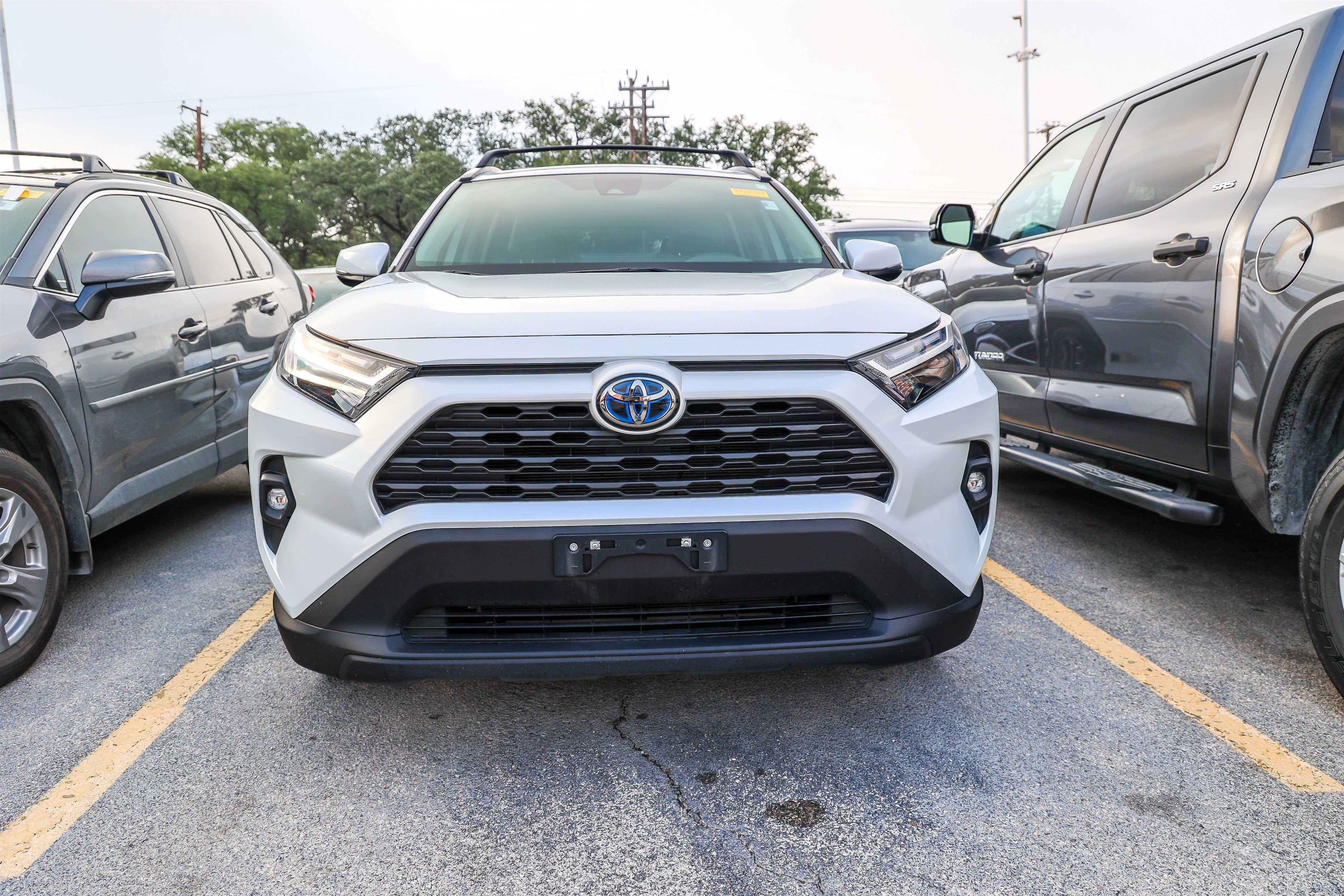 2024 Toyota RAV4 Hybrid Hybrid XLE Premium