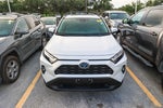 2024 Toyota RAV4 Hybrid Hybrid XLE Premium