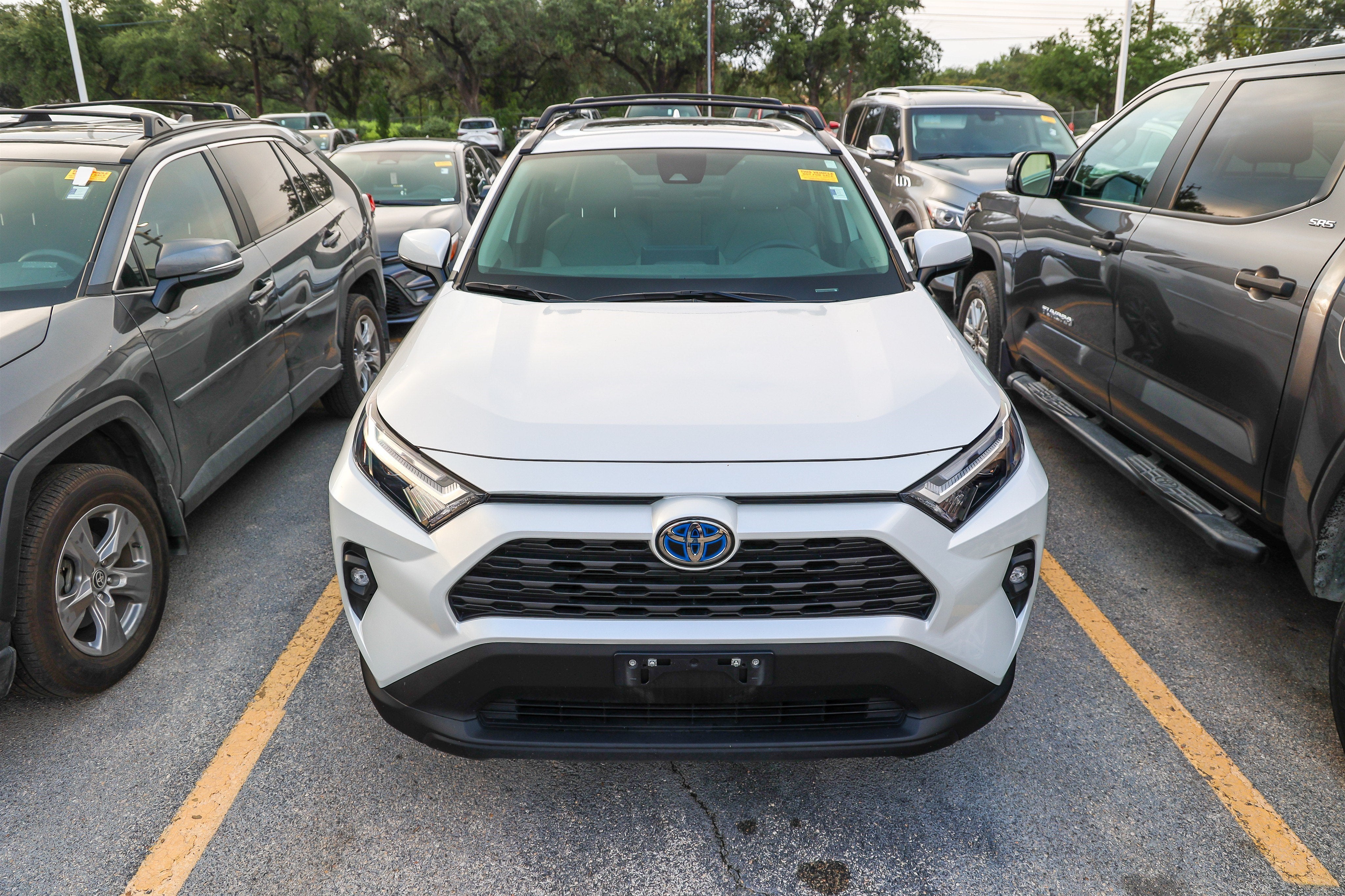 2024 Toyota RAV4 Hybrid Hybrid XLE Premium
