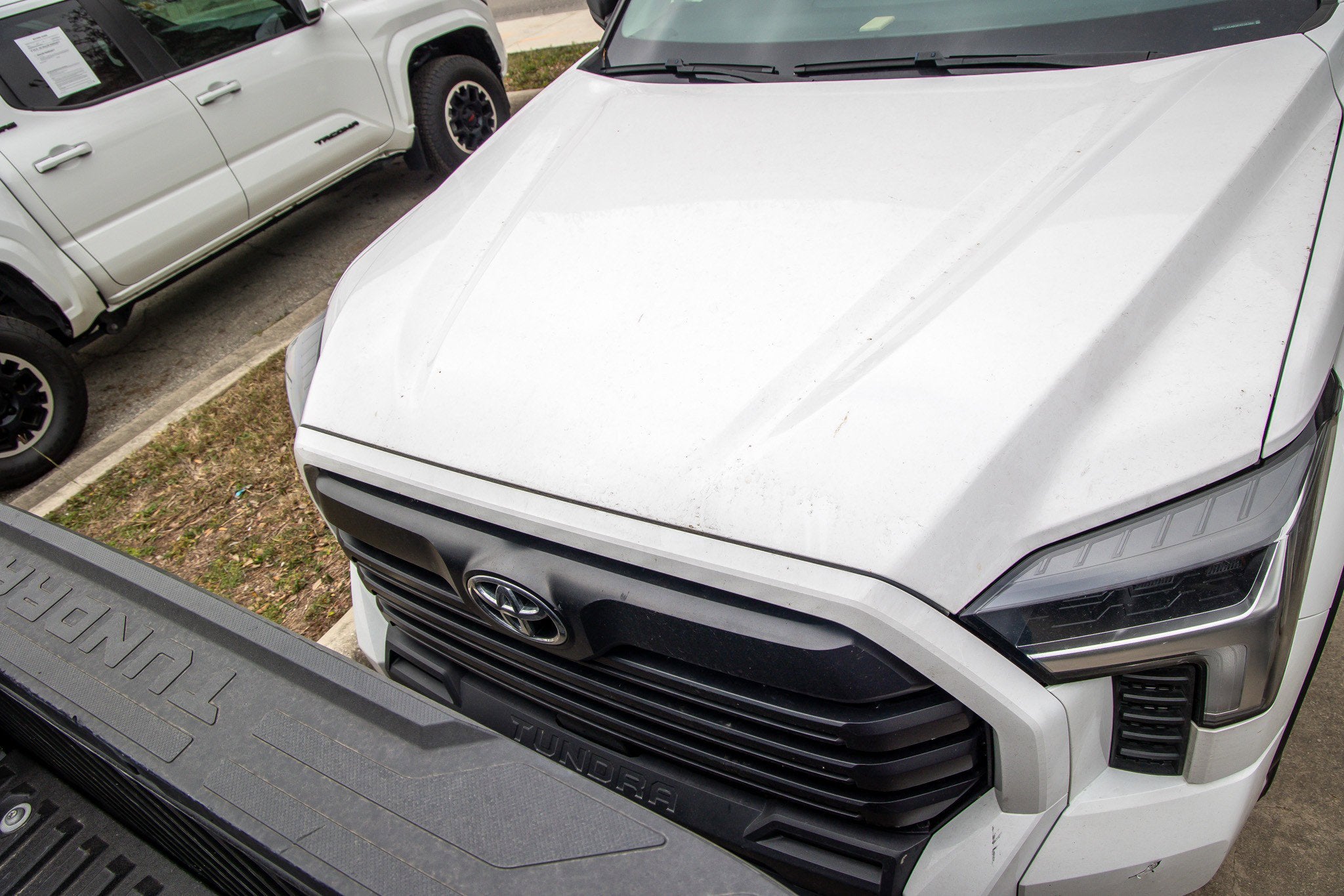 2024 Toyota TUNDRA 4X2 SR5