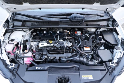 2023 Toyota Prius XLE