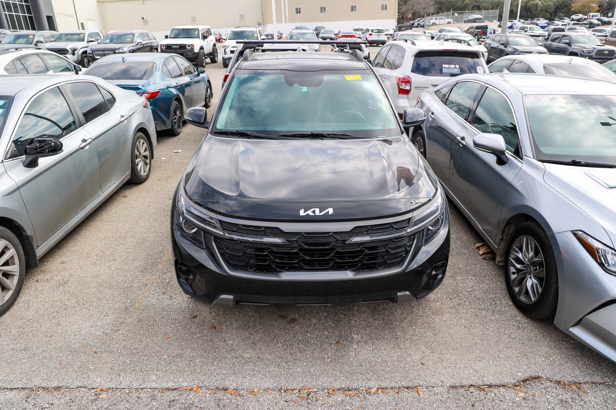 2024 Kia Seltos X-Line