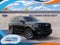 2027 Ford Expedition Platinum®