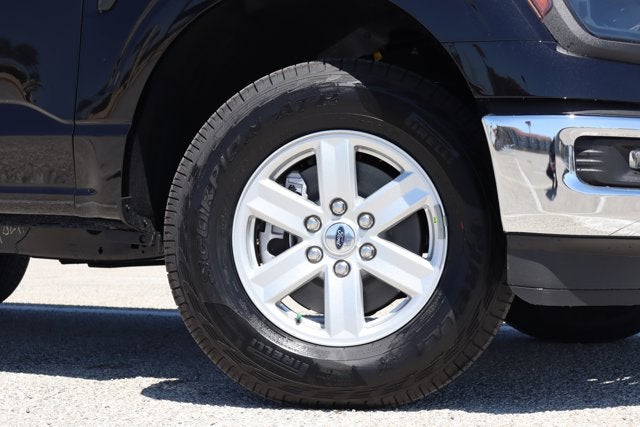 2026 Ford F-150 XL Procharger