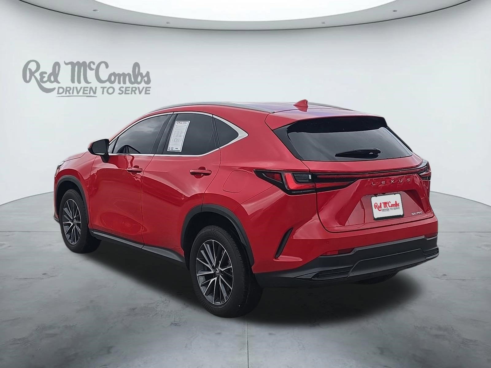 2025 Lexus NX 250 NX 250