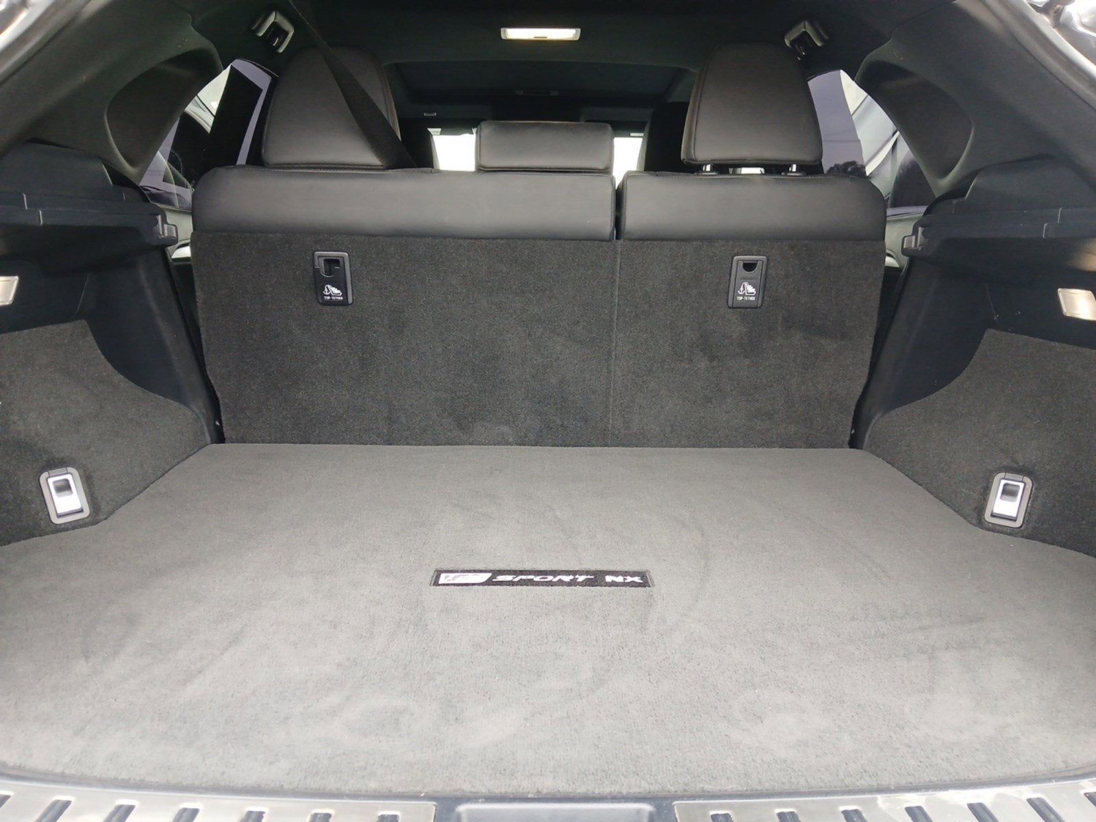 2021 Lexus NX NX 300 F SPORT