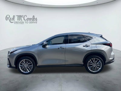 2025 Lexus NX NX 350 Premium